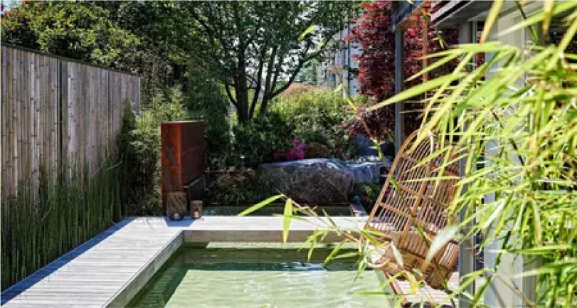 Wohngarten mit Biopool